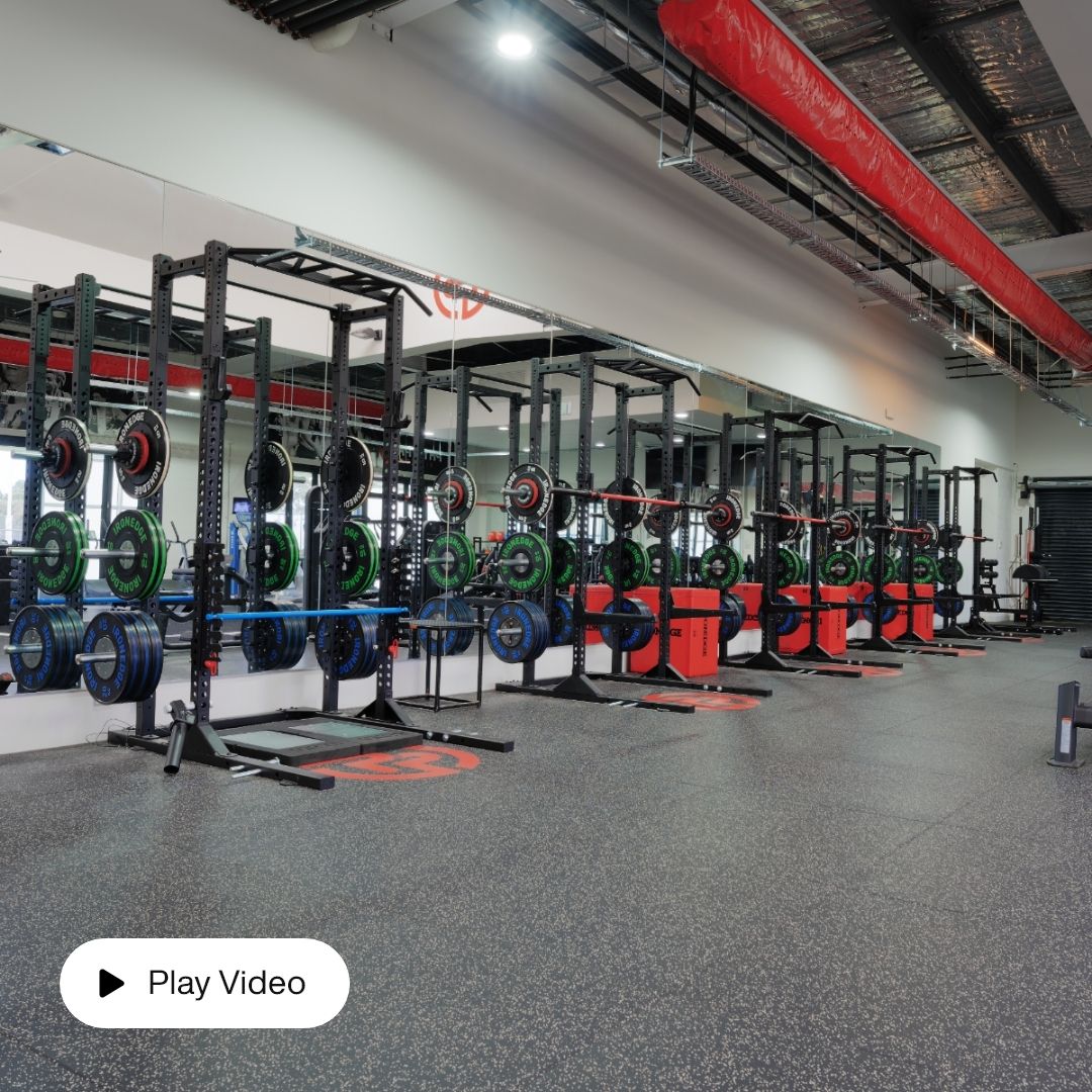 Assault Rack Pro
