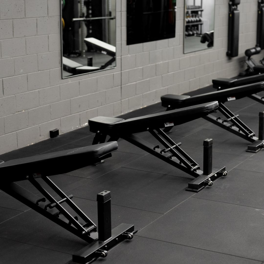 Bench - Flat / Incline - 2025 Model