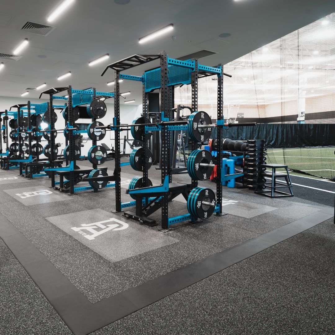 Weightlifting Platform - Custom
