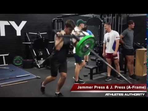 Torsonator™ - Viking Press