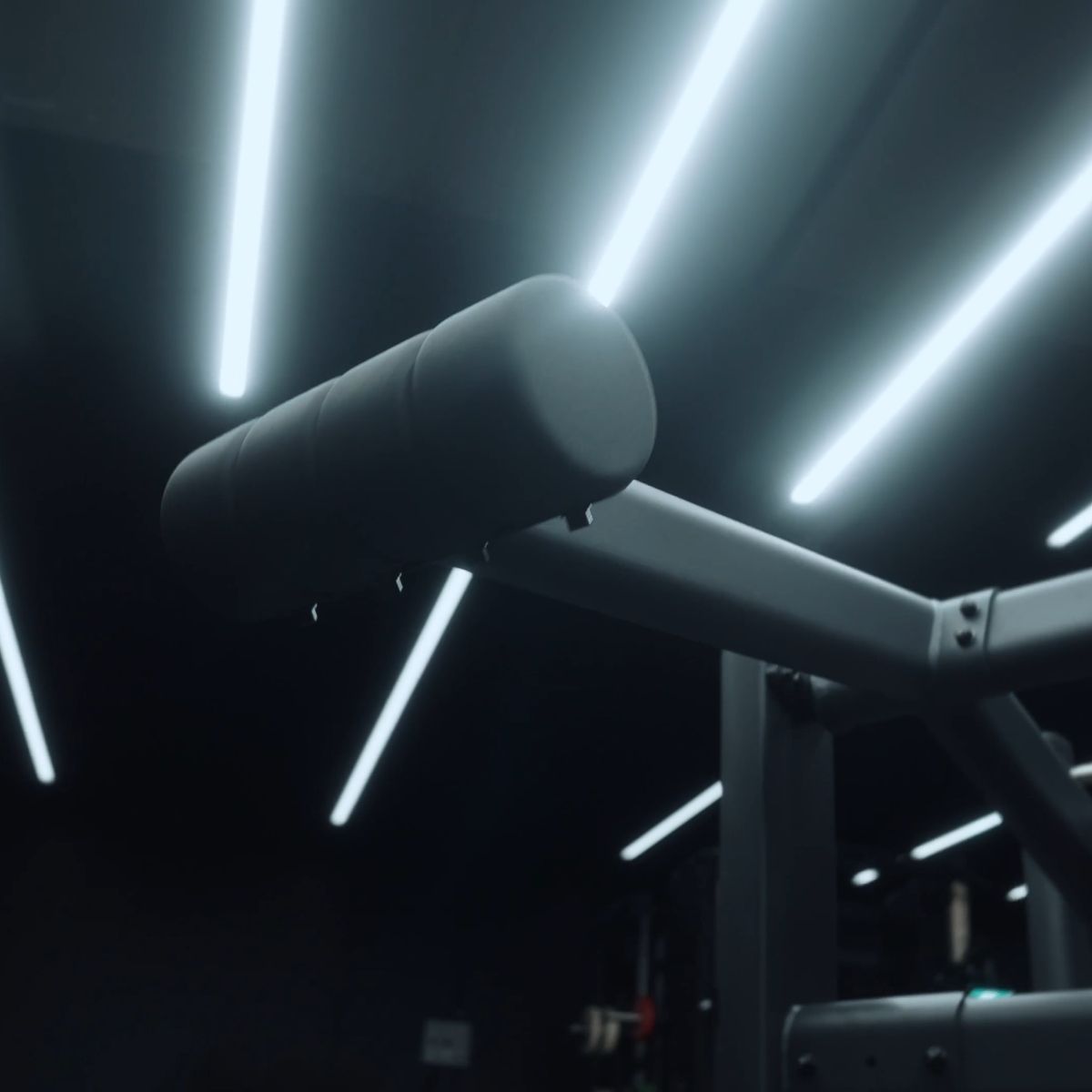 Pendulum Squat - Onyx™ Series