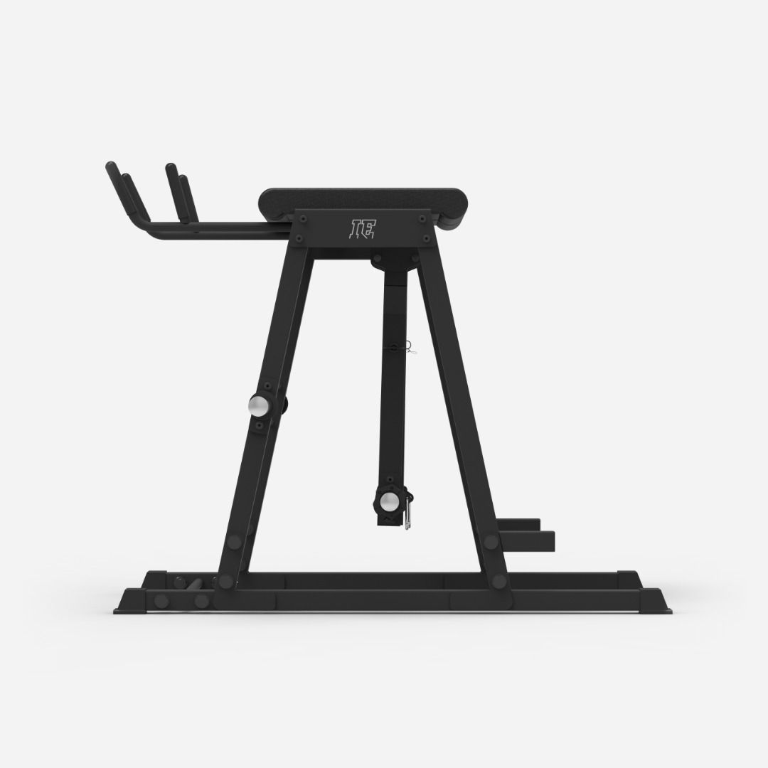 Reverse Hyper - Unilateral