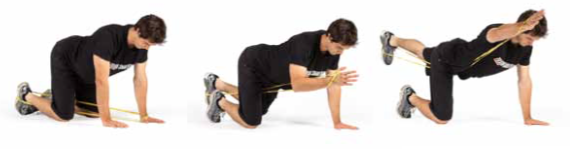 Power Bands - Ebook