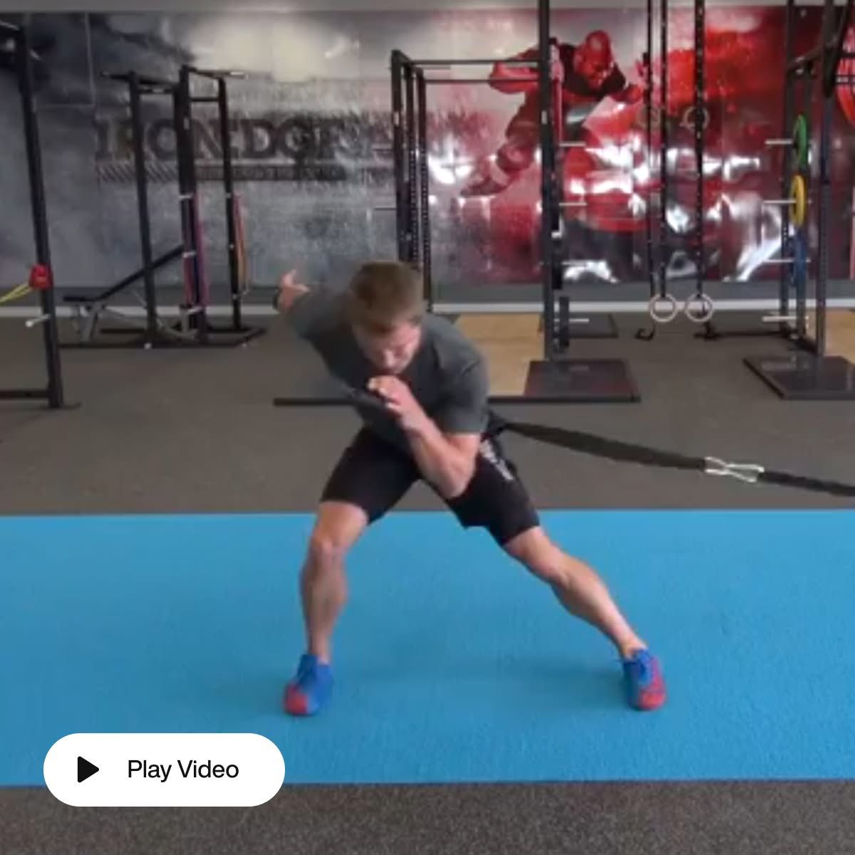 Sprint Sled with Harness