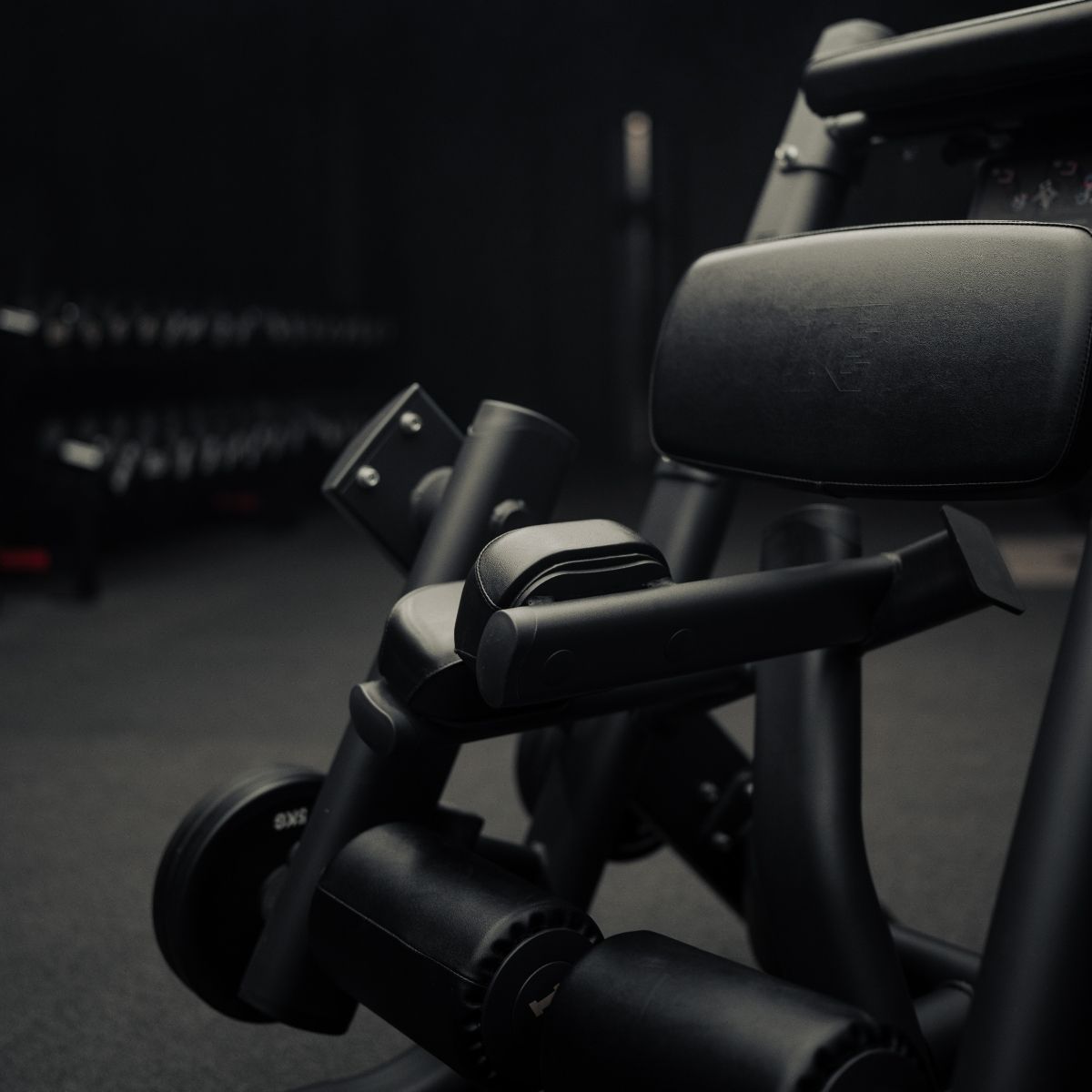 Standing Leg Curl - Onyx™ Series
