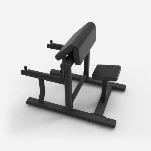 Preacher Curl Bench