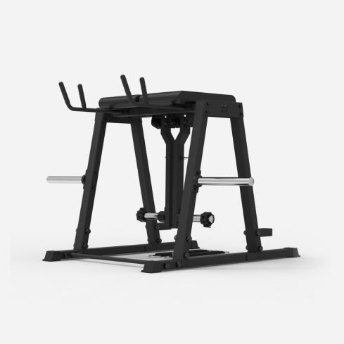 Reverse Hyper - Unilateral