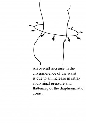 widening-at-the-waist2
