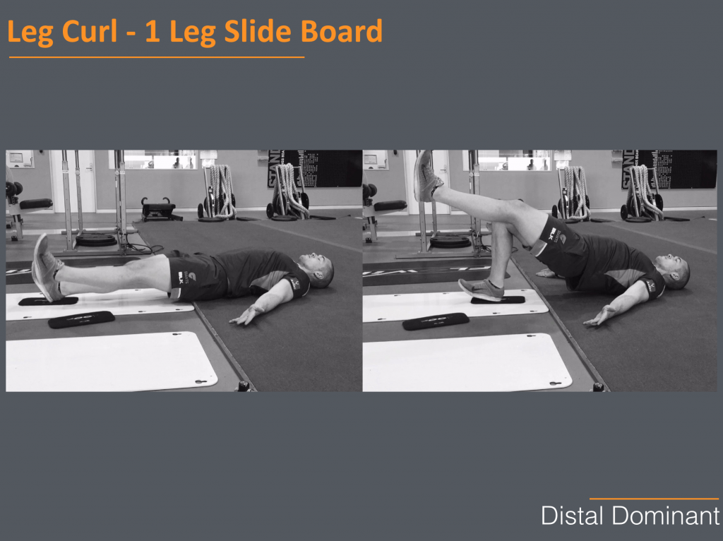 Hamstring