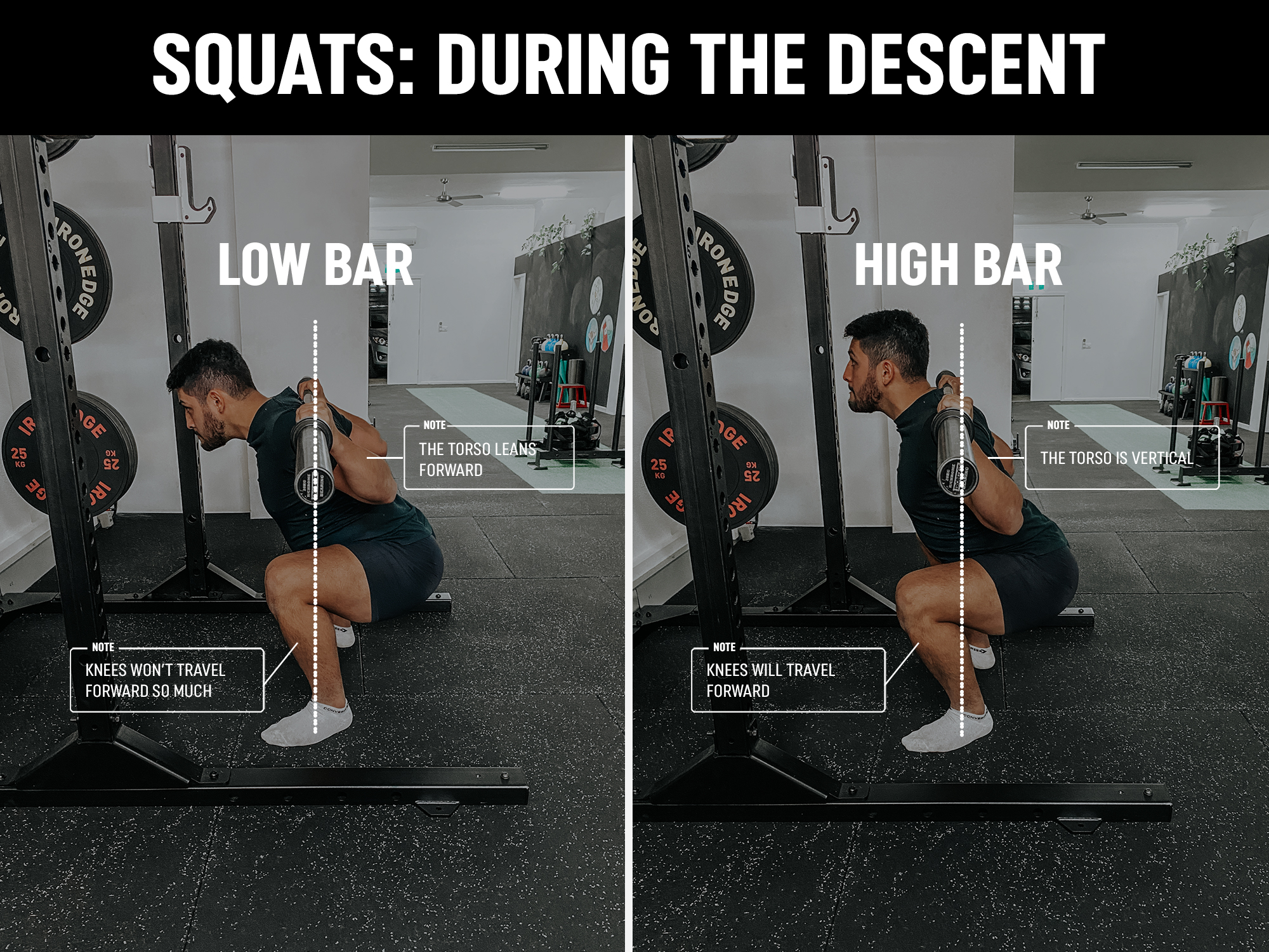 Barbell Back Squat