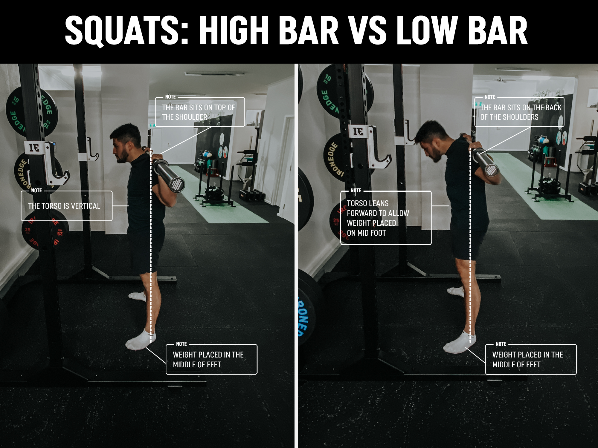 Barbell back Squat