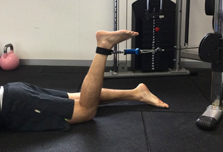 Hamstrings